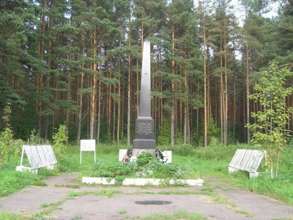 Погода в пола новгородской. Посёлок пола Новгородская область. Пола Новгородская область фото.